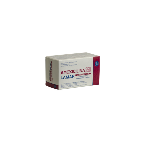 Amoxicilina 250mg x 100 Comprimidos